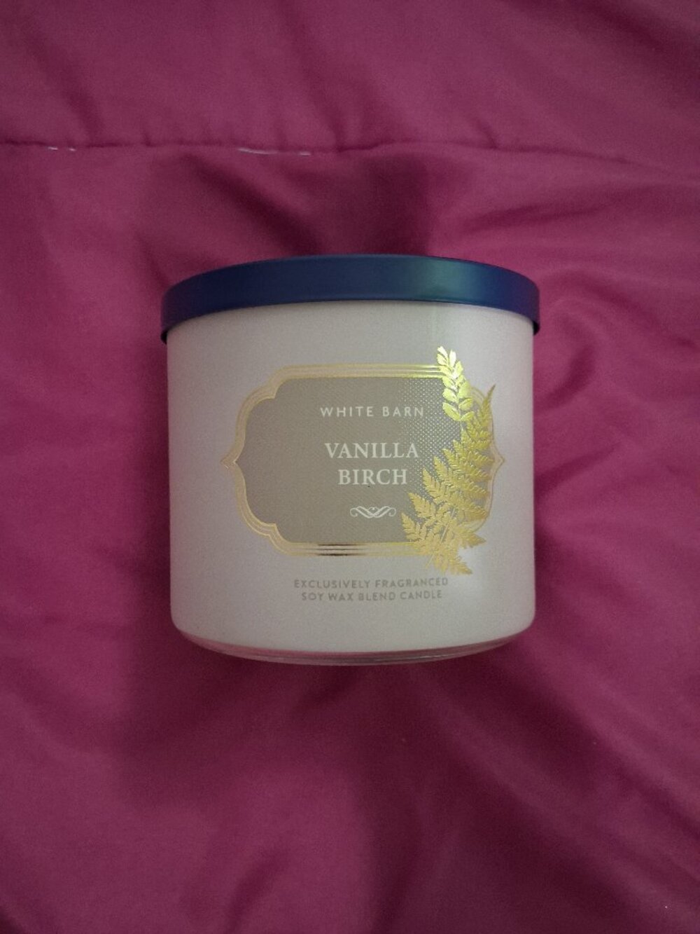 B&BW 3 Wick Candle - Vanilla Birch
